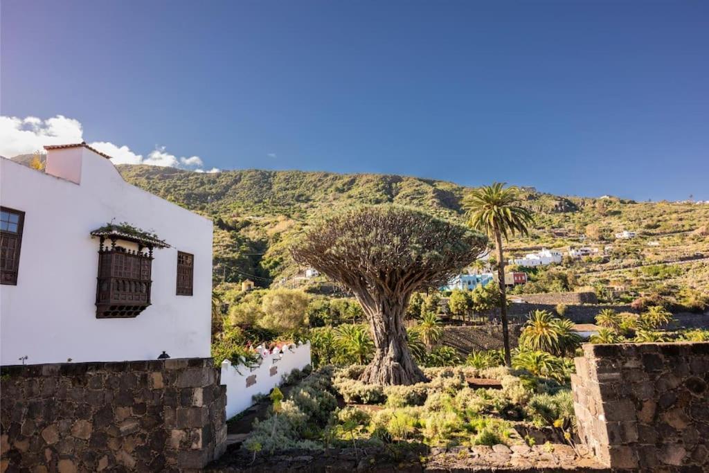 Apartamento Cerca Del Drago Icod De Los Vinos Exterior foto